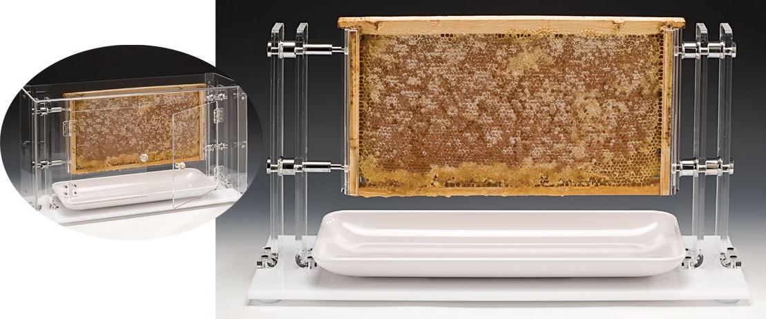 Akrilik Petek Bal Standı