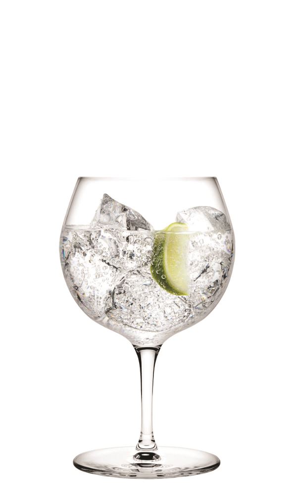 Gin & Tonic 66300 - 1080821